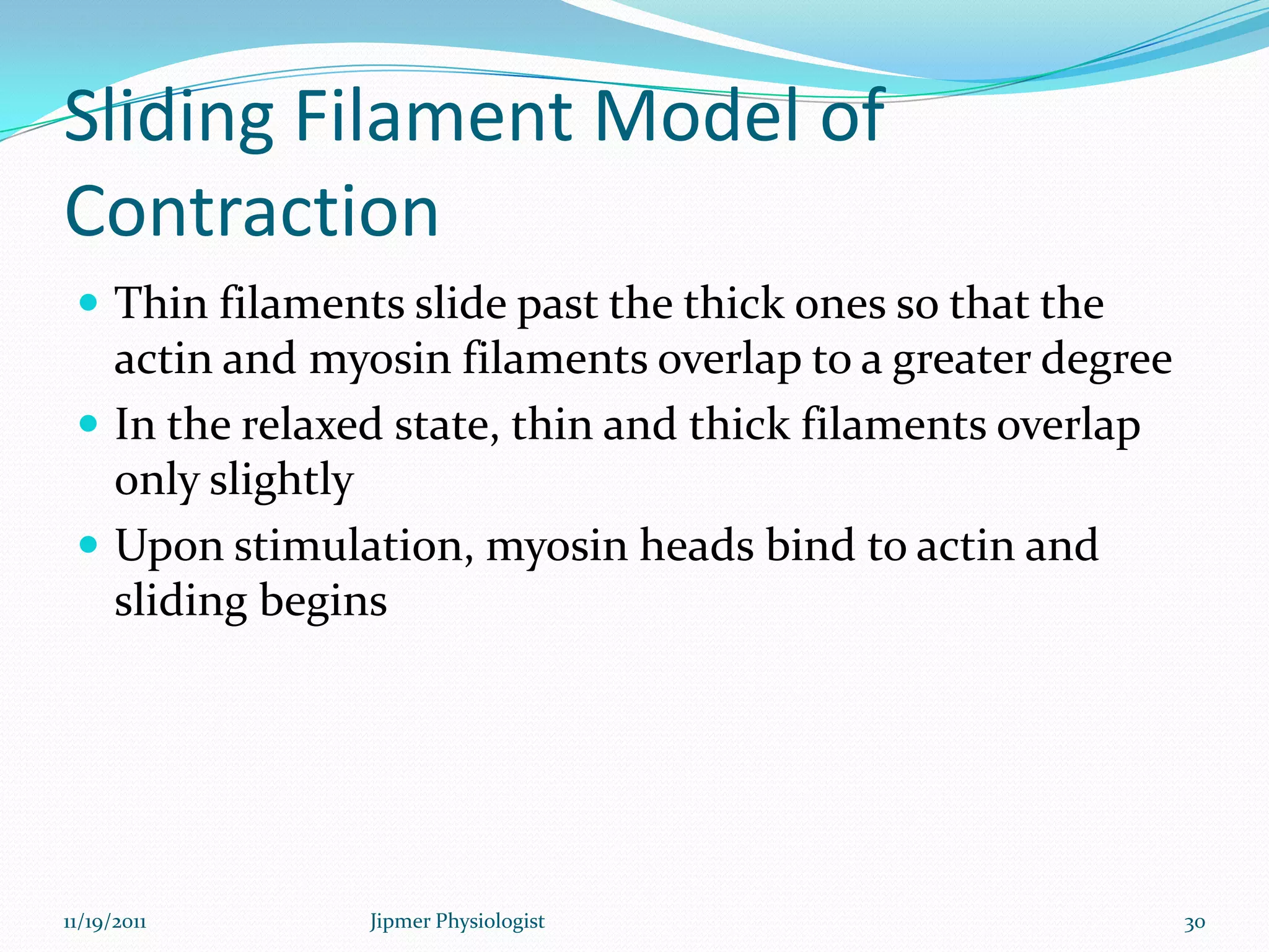 Sliding Filament Model of
Contraction
 Thin filaments slide past the thick ones so that the
actin and myosin filaments overlap to a greater degree
 In the relaxed state, thin and thick filaments overlap
only slightly
 Upon stimulation, myosin heads bind to actin and
sliding begins
11/19/2011 30Jipmer Physiologist
 