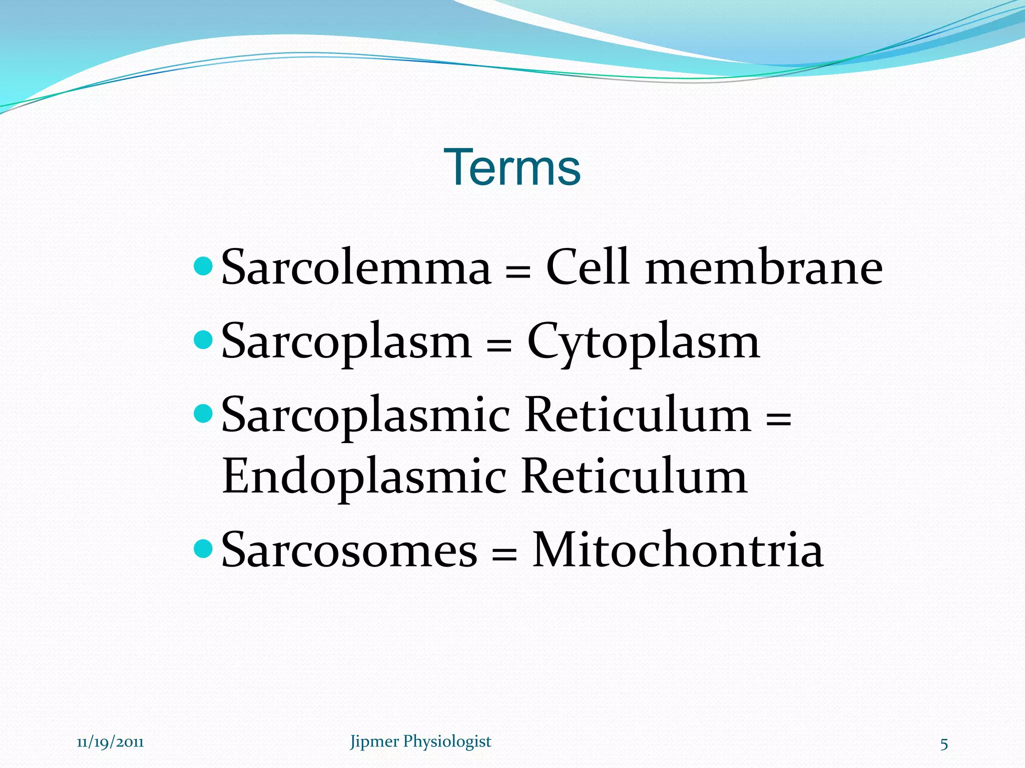 Terms
Sarcolemma = Cell membrane
Sarcoplasm = Cytoplasm
Sarcoplasmic Reticulum =
Endoplasmic Reticulum
Sarcosomes = Mitochontria
11/19/2011 5Jipmer Physiologist
 
