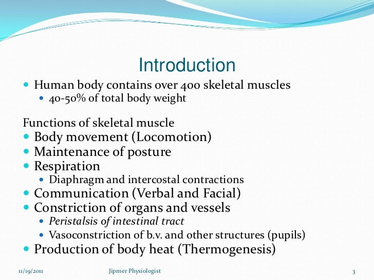 Skeletal muscle structure & function