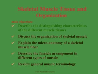 ✔ Describe the distinguishing characteristics
of the different muscle tissues
✔ Discuss the organization of skeletal muscle
✔ Explain the micro-anatomy of a skeletal
muscle fiber
✔ Describe the fascicle arrangement in
different types of muscle
✔ Review general muscle terminology
Skeletal Muscle Tissue and
Organization
main objectives:
www.freelivedoctor.com
 
