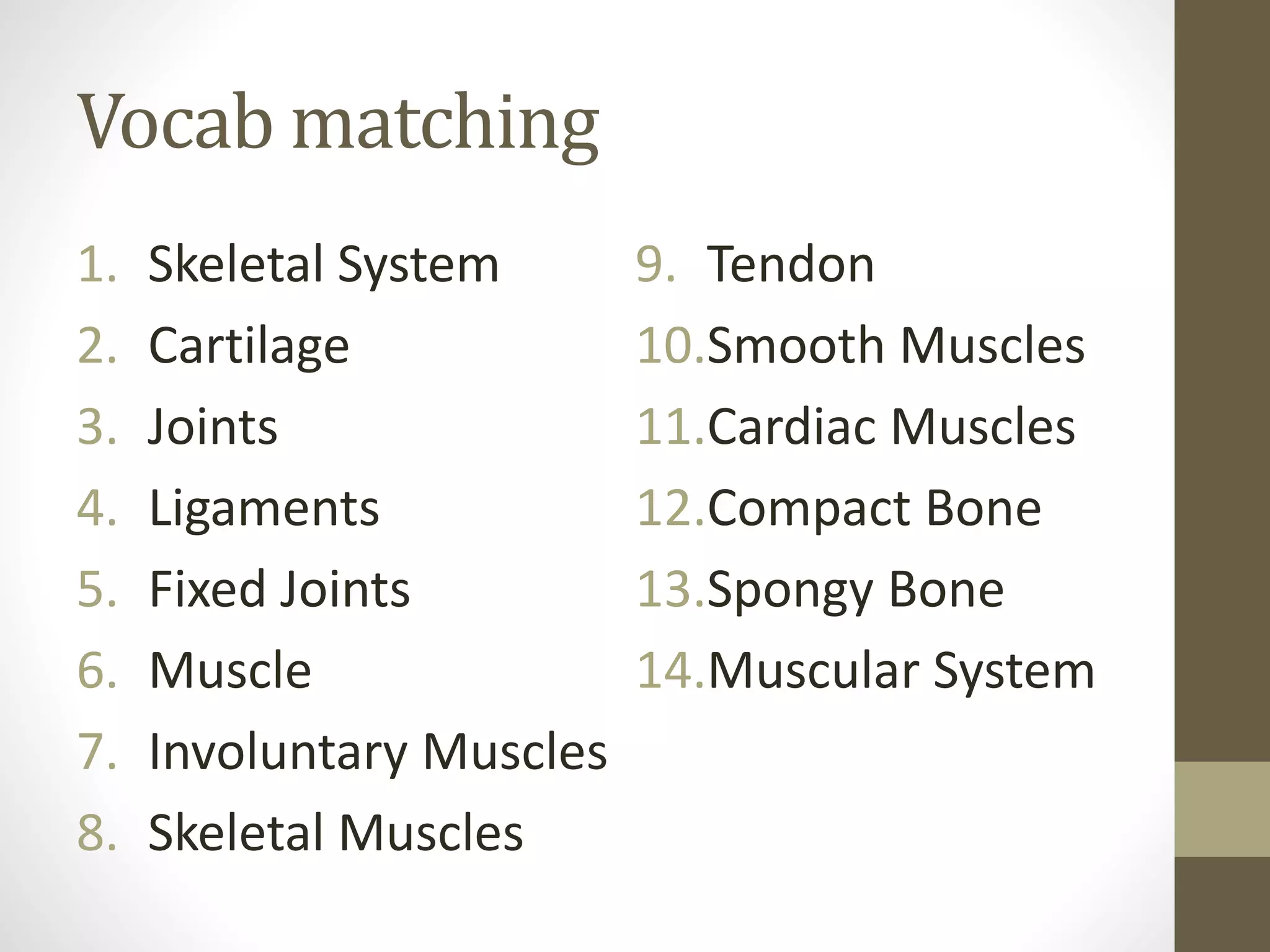Vocab matching
1. Skeletal System
2. Cartilage
3. Joints
4. Ligaments
5. Fixed Joints
6. Muscle
7. Involuntary Muscles
8. Skeletal Muscles
9. Tendon
10.Smooth Muscles
11.Cardiac Muscles
12.Compact Bone
13.Spongy Bone
14.Muscular System