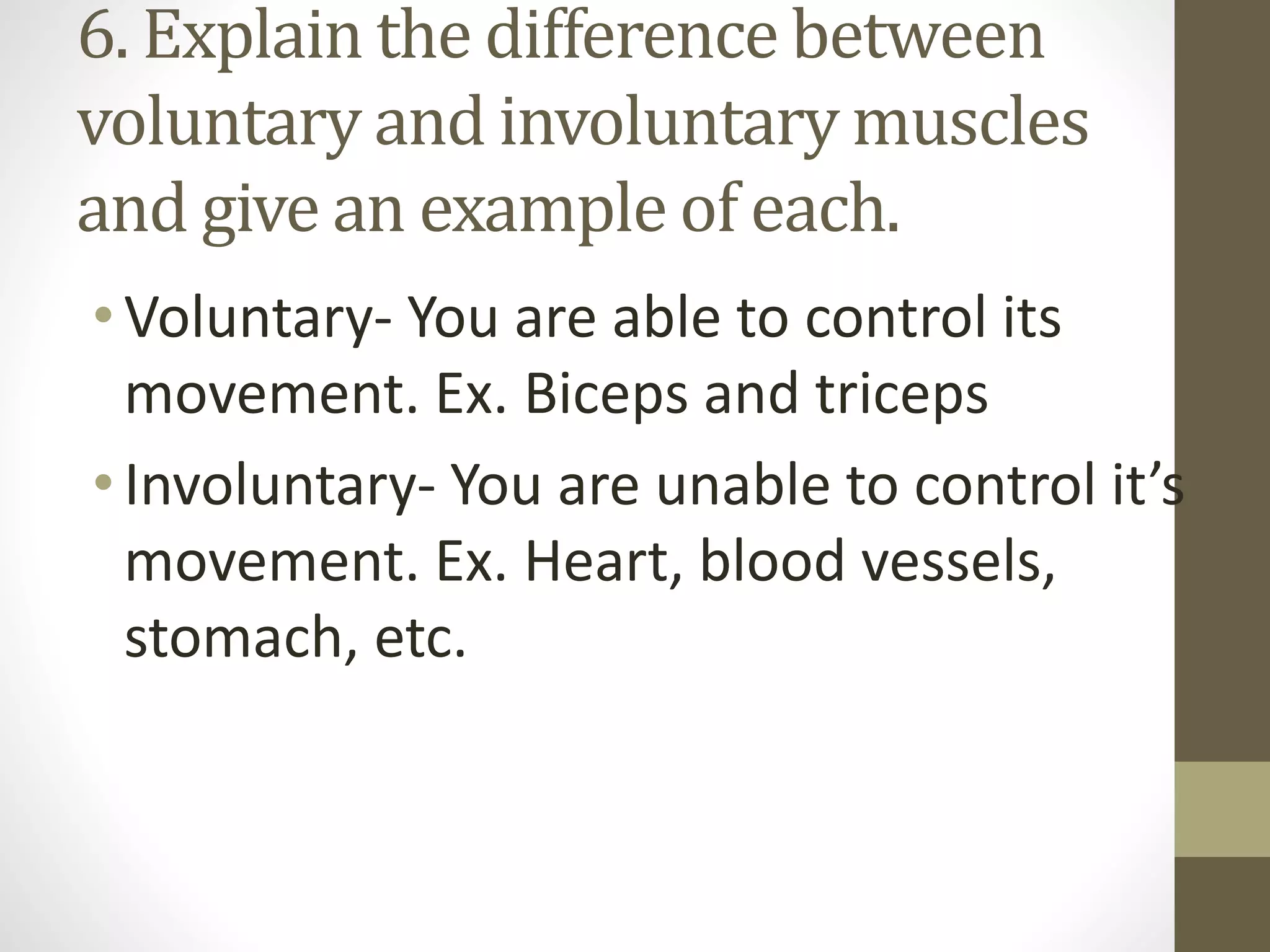 6. Explain the difference between
voluntary and involuntary muscles
and give an example of each.
•Voluntary- You are able to control its
movement. Ex. Biceps and triceps
•Involuntary- You are unable to control it’s
movement. Ex. Heart, blood vessels,
stomach, etc.