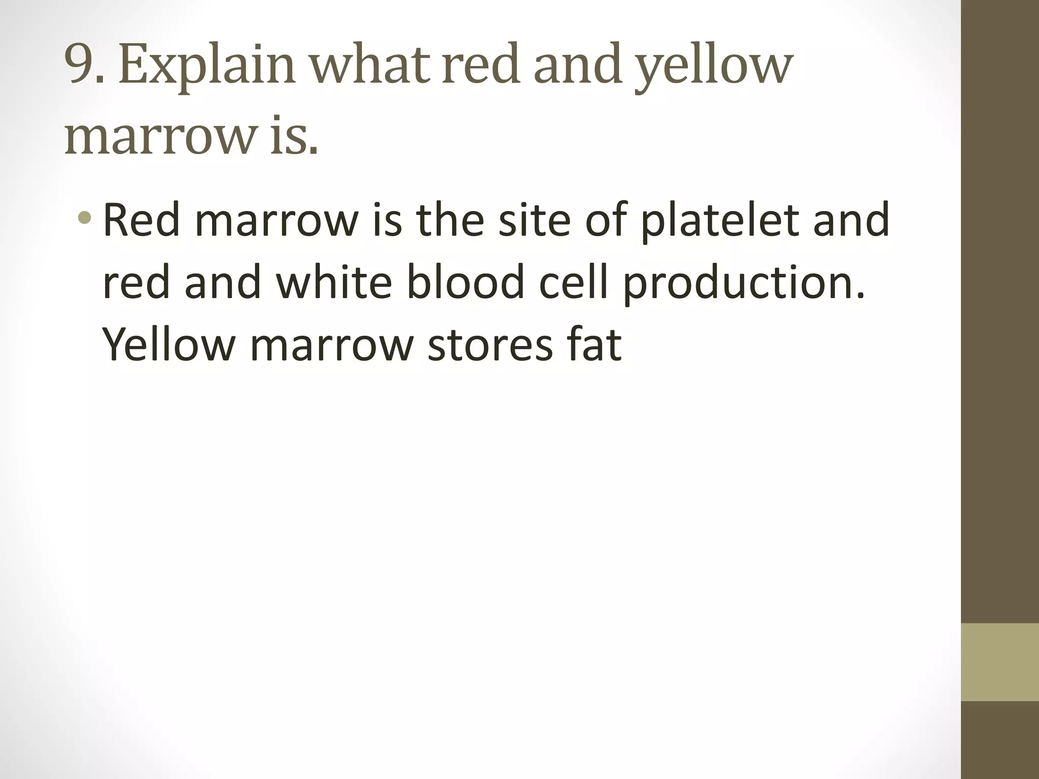 9. Explain what red and yellow
marrow is.
•Red marrow is the site of platelet and
red and white blood cell production.
Yellow marrow stores fat