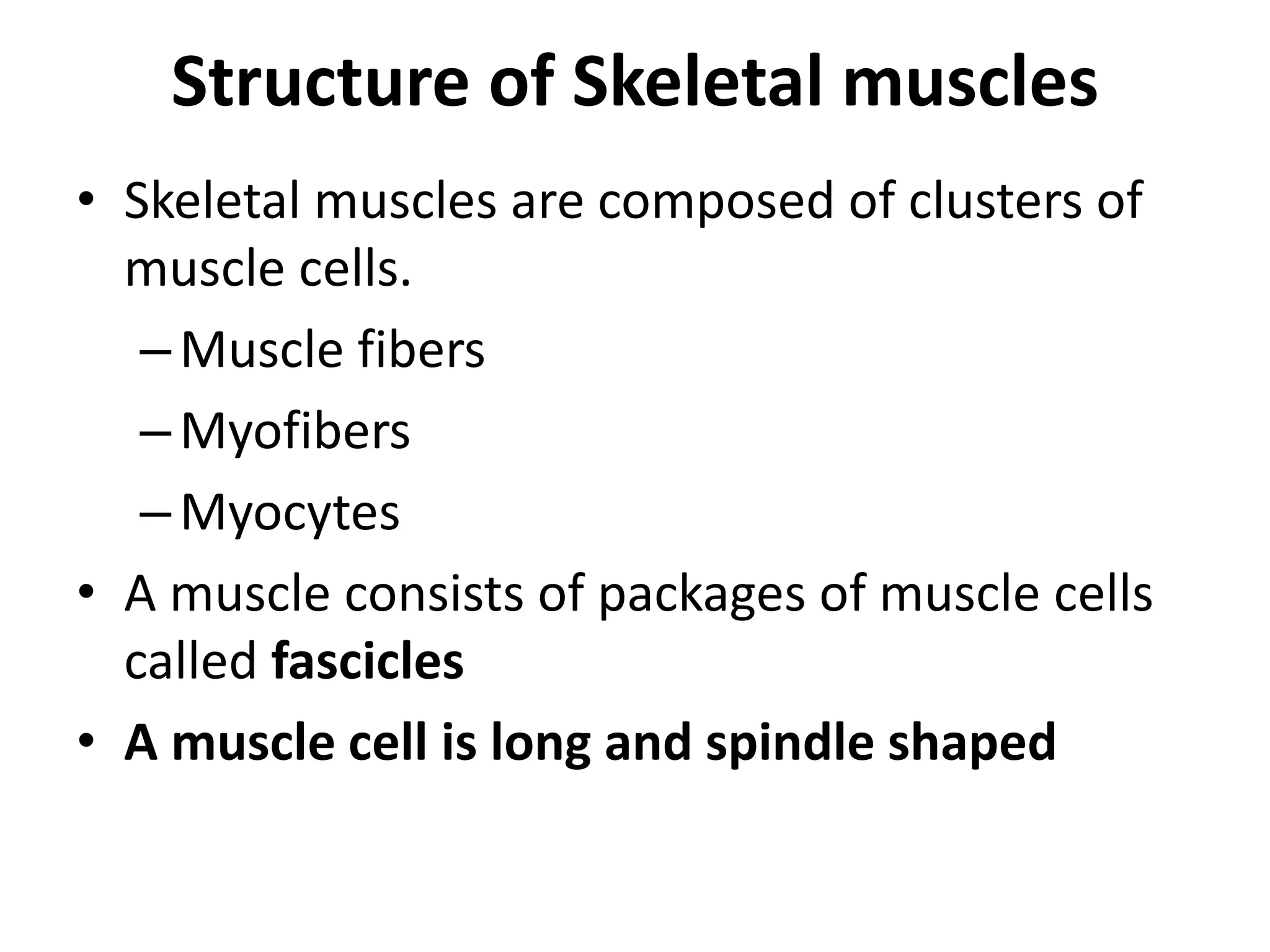 Skeletal System | PPTX