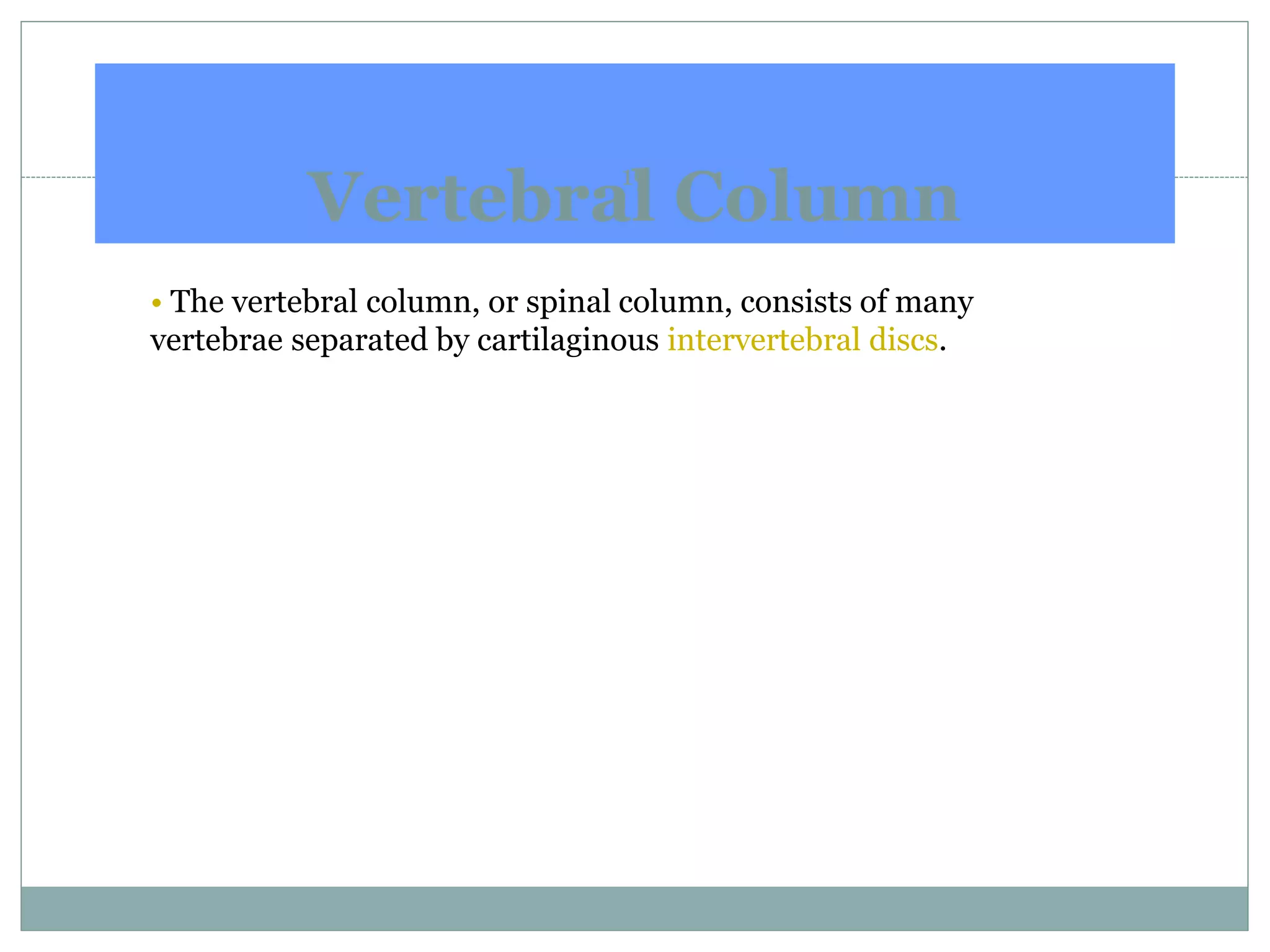 Vertebral Column
19
• The vertebral column, or spinal column, consists of many
vertebrae separated by cartilaginous intervertebral discs.
 