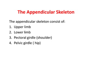 The Appendicular Skeleton
The appendicular skeleton consist of:
1. Upper limb
2. Lower limb
3. Pectoral girdle (shoulder)
4. Pelvic girdle ( hip)
 