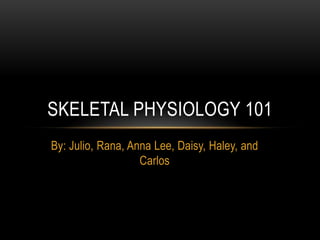 SKELETAL PHYSIOLOGY 101
By: Julio, Rana, Anna Lee, Daisy, Haley, and
                   Carlos
 