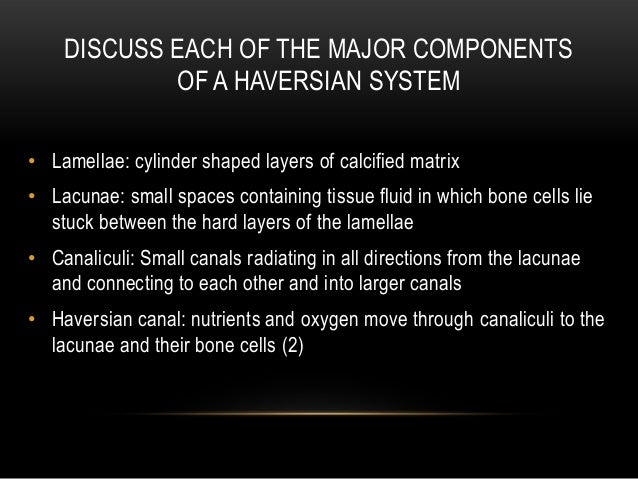Skeletal physiology 101 Skeletal physiology 101