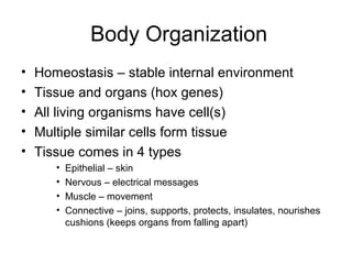 Body Organization
•   Homeostasis – stable internal environment
•   Tissue and organs (hox genes)
•   All living organisms have cell(s)
•   Multiple similar cells form tissue
•   Tissue comes in 4 types
       •   Epithelial – skin
       •   Nervous – electrical messages
       •   Muscle – movement
       •   Connective – joins, supports, protects, insulates, nourishes
           cushions (keeps organs from falling apart)
 