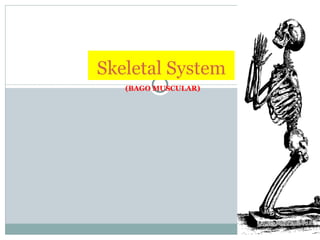 (BAGO MUSCULAR) Skeletal System 
