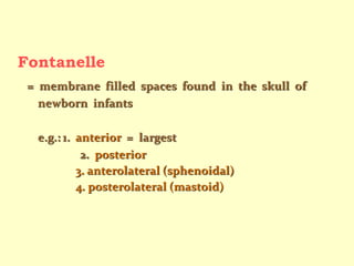Fontanelle
= membrane filled spaces found in the skull of
newborn infants
e.g.: 1. anterior = largest
2. posterior
3. anterolateral (sphenoidal)
4. posterolateral (mastoid)
 