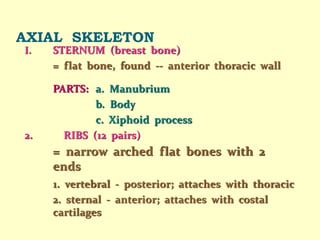 AXIAL SKELETON
I. STERNUM (breast bone)
= flat bone, found -- anterior thoracic wall
PARTS: a. Manubrium
b. Body
c. Xiphoid process
2. RIBS (12 pairs)
= narrow arched flat bones with 2
ends
1. vertebral - posterior; attaches with thoracic
2. sternal - anterior; attaches with costal
cartilages
 