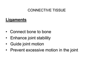 Bones and Joints | PPTX