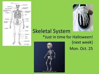 Skeletal System
*Just in time for Halloween!
(next week)
Mon. Oct. 25
 