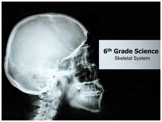 6th Grade Science Skeletal System 
