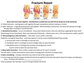Skeletal system | PPT