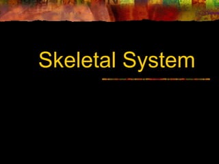 Skeletal System 