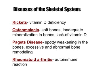 Skeletal system