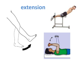 extension
 