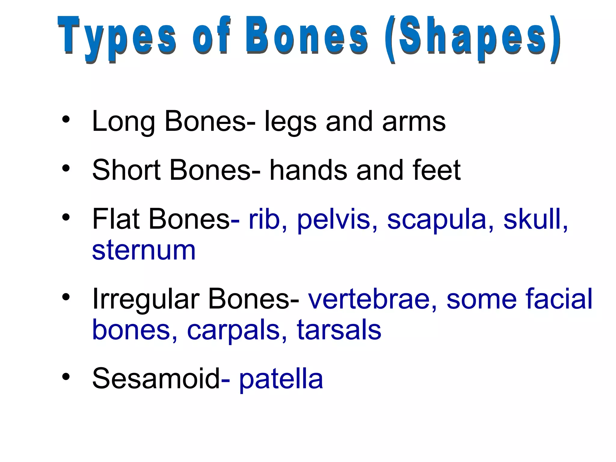 • Long Bones- legs and arms
• Short Bones- hands and feet
• Flat Bones- rib, pelvis, scapula, skull,
  sternum
• Irregular Bones- vertebrae, some facial
  bones, carpals, tarsals
• Sesamoid- patella
 