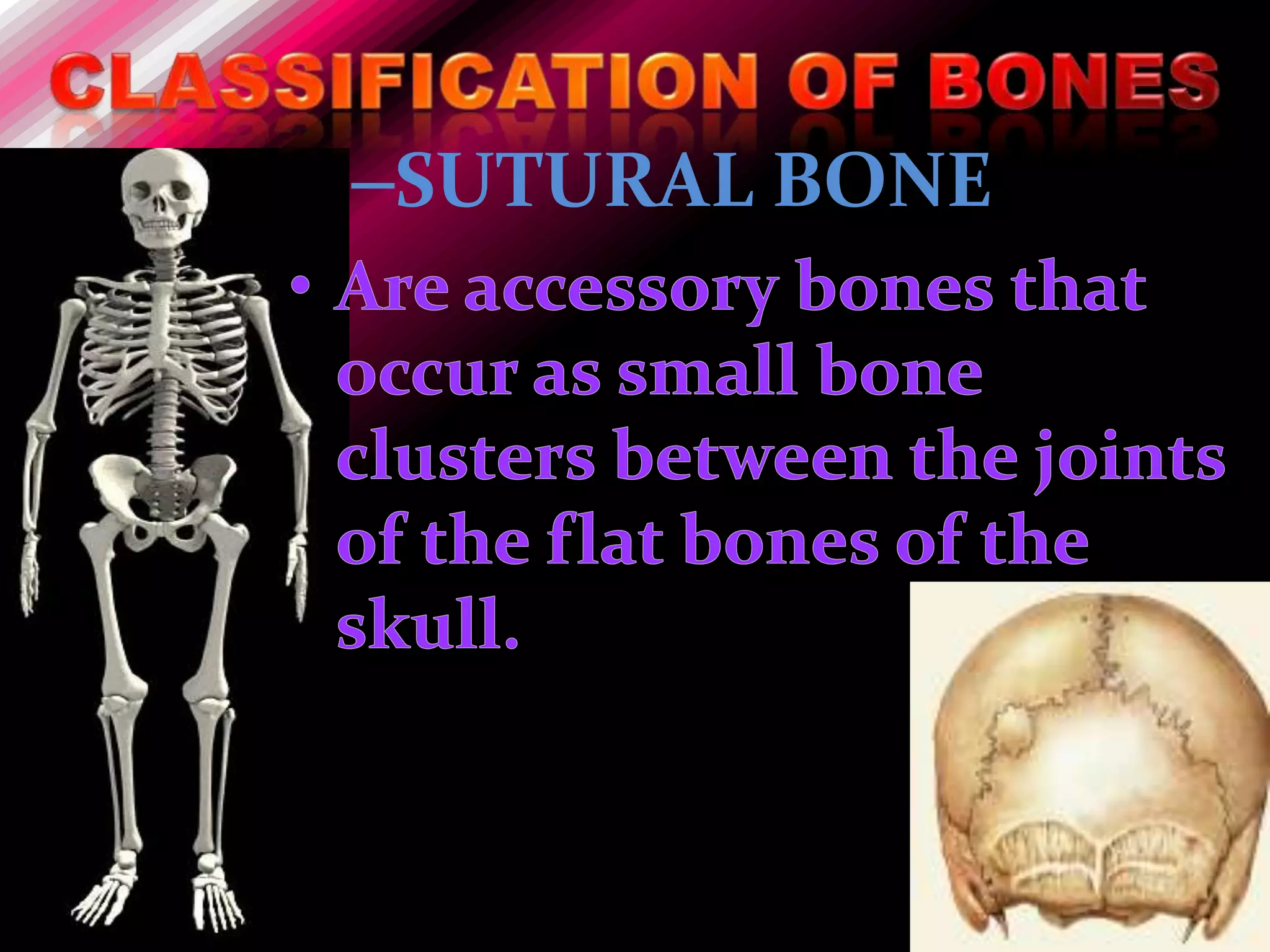 –SUTURAL BONE
 