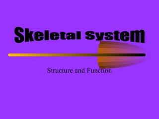 Structure and Function
 