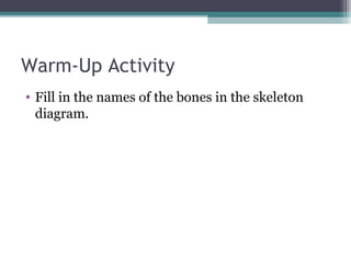 Warm-Up Activity
• Fill in the names of the bones in the skeleton
diagram.
 