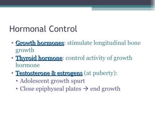 Hormonal Control
• Growth hormonesGrowth hormones: stimulate longitudinal bone
growth
• Thyroid hormoneThyroid hormone: control activity of growth
hormone
• Testosterone & estrogensTestosterone & estrogens (at puberty):
• Adolescent growth spurt
• Close epiphyseal plates  end growth
 