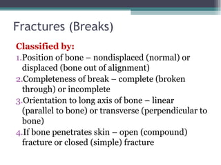 Fractures (Breaks)
Classified by:
1.Position of bone – nondisplaced (normal) or
displaced (bone out of alignment)
2.Completeness of break – complete (broken
through) or incomplete
3.Orientation to long axis of bone – linear
(parallel to bone) or transverse (perpendicular to
bone)
4.If bone penetrates skin – open (compound)
fracture or closed (simple) fracture
 