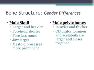 Bone Structure: Gender Differences
• Male Skull
▫ Larger and heavier
▫ Forehead shorter
▫ Face less round
▫ Jaw larger
▫ Mastoid processes
more prominent
• Male pelvic bones
▫ Heavier and thicker
▫ Obturator foramen
and acetabula are
larger and closer
together
 