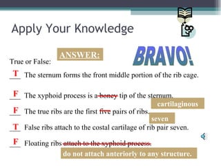 Apply Your Knowledge
True or False:
___ The sternum forms the front middle portion of the rib cage.
___ The xyphoid process is a boney tip of the sternum.
___ The true ribs are the first five pairs of ribs.
___ False ribs attach to the costal cartilage of rib pair seven.
___ Floating ribs attach to the xyphoid process.
T
T
ANSWER:
F
cartilaginous
F
seven
F
do not attach anteriorly to any structure.
 