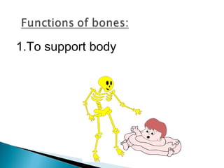 Skeletal system | PPT