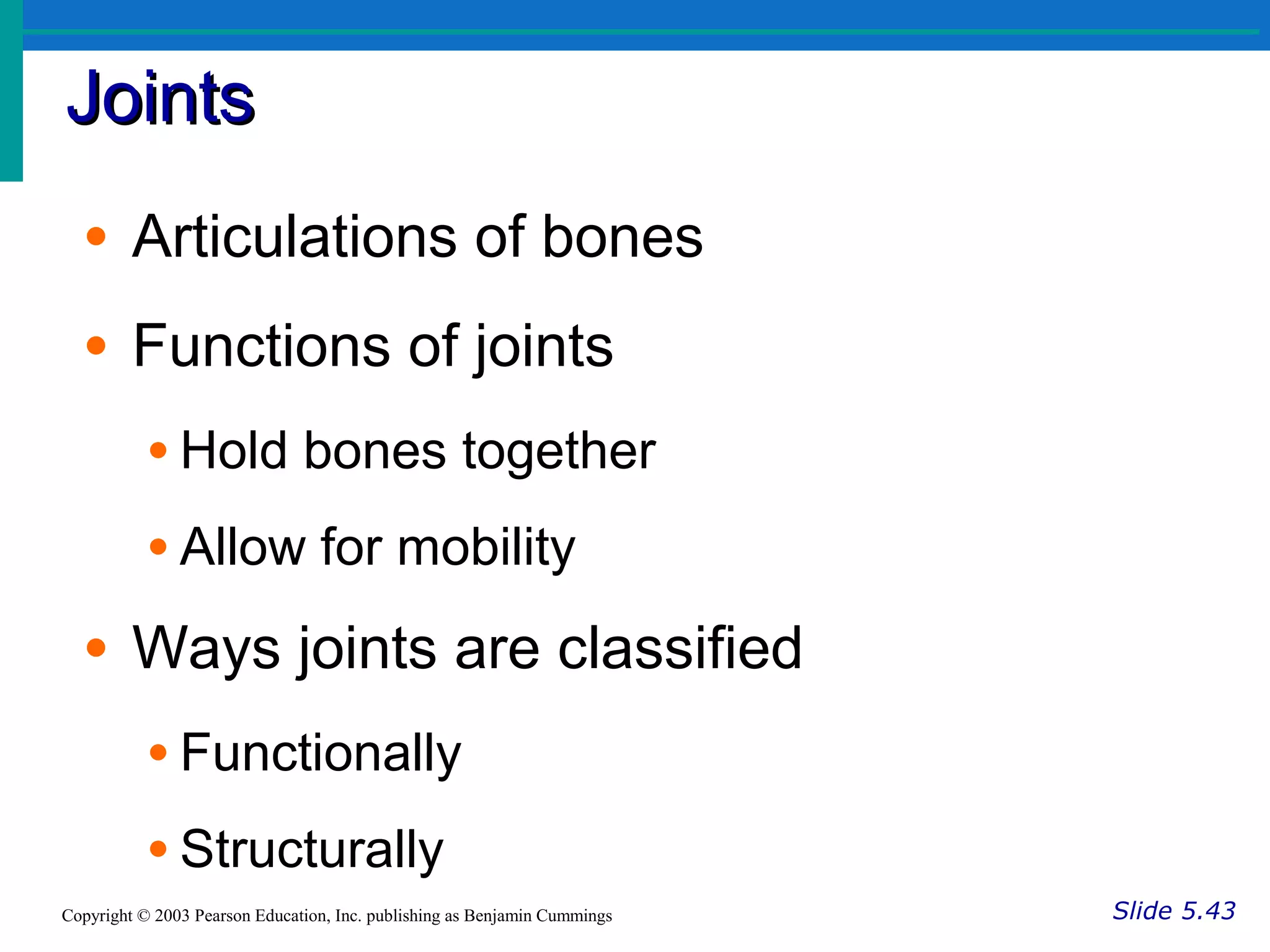 JointsJoints
Slide 5.43Copyright © 2003 Pearson Education, Inc. publishing as Benjamin Cummings
• Articulations of bones
• Functions of joints
• Hold bones together
• Allow for mobility
• Ways joints are classified
• Functionally
• Structurally
 
