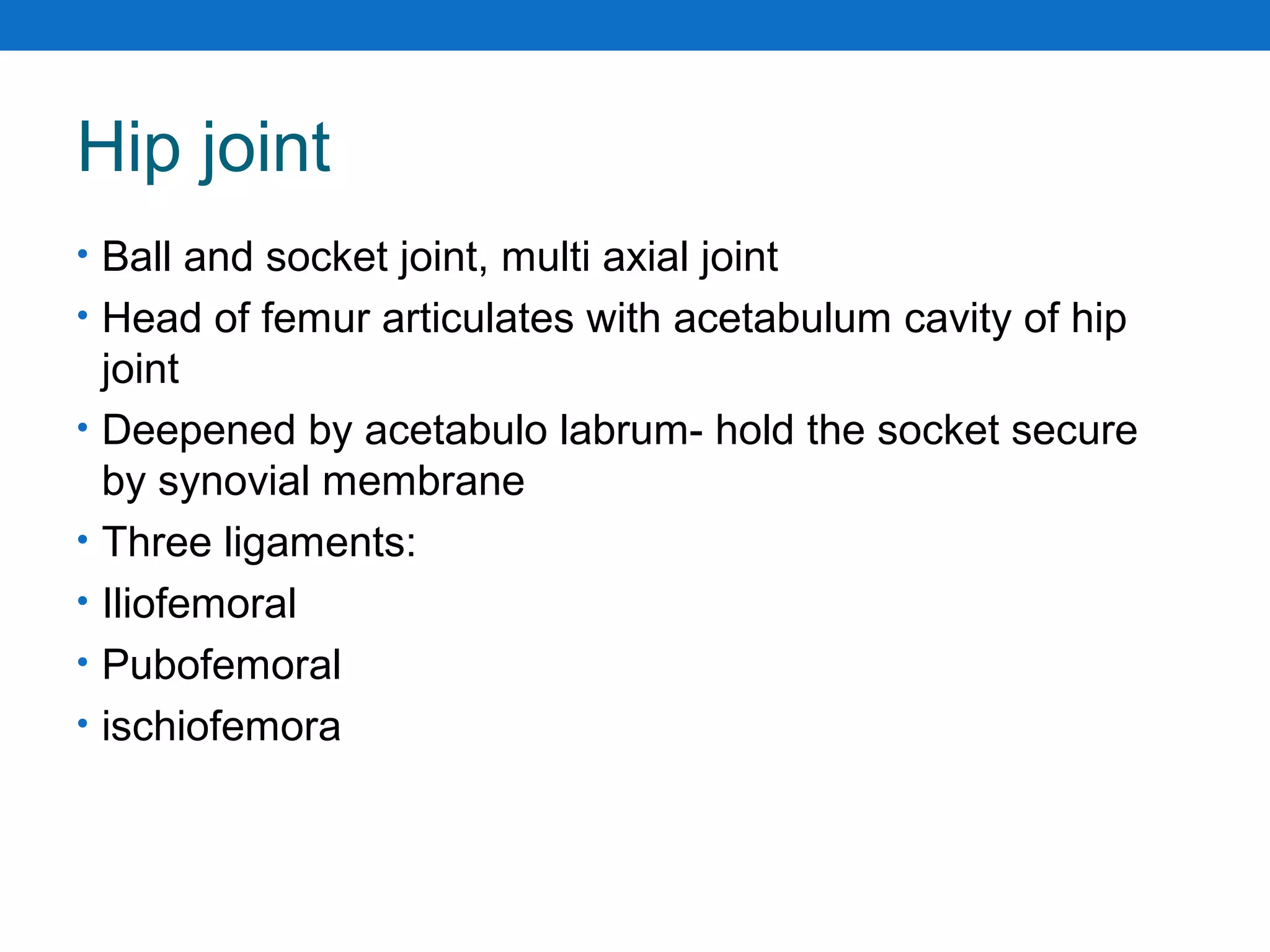 Hip joint
• Ball and socket joint, multi axial joint
• Head of femur articulates with acetabulum cavity of hip
joint
• Deepened by acetabulo labrum- hold the socket secure
by synovial membrane
• Three ligaments:
• Iliofemoral
• Pubofemoral
• ischiofemora
 