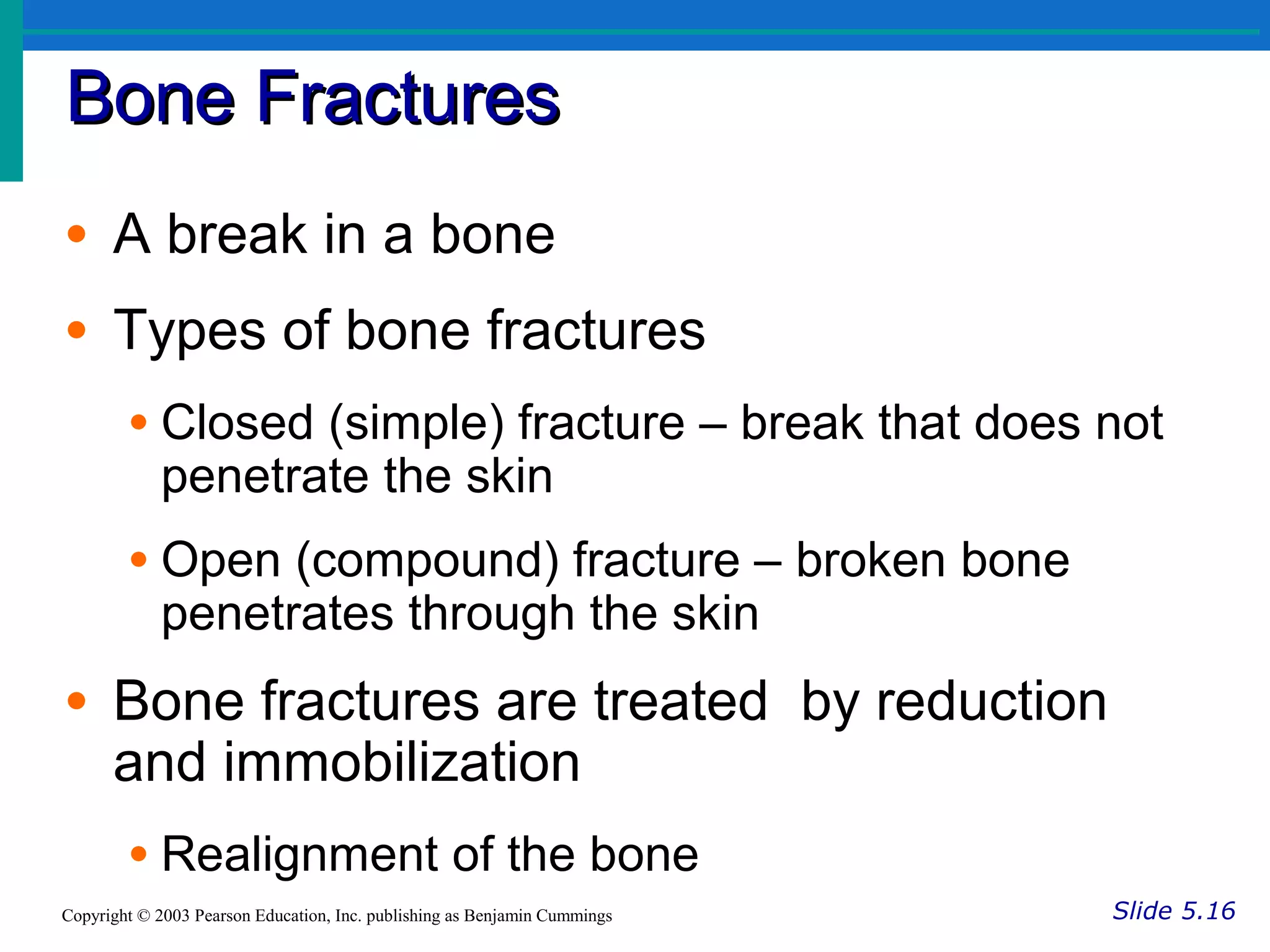 Bone FracturesBone Fractures
Slide 5.16Copyright © 2003 Pearson Education, Inc. publishing as Benjamin Cummings
• A break in a bone
• Types of bone fractures
• Closed (simple) fracture – break that does not
penetrate the skin
• Open (compound) fracture – broken bone
penetrates through the skin
• Bone fractures are treated by reduction
and immobilization
• Realignment of the bone
 