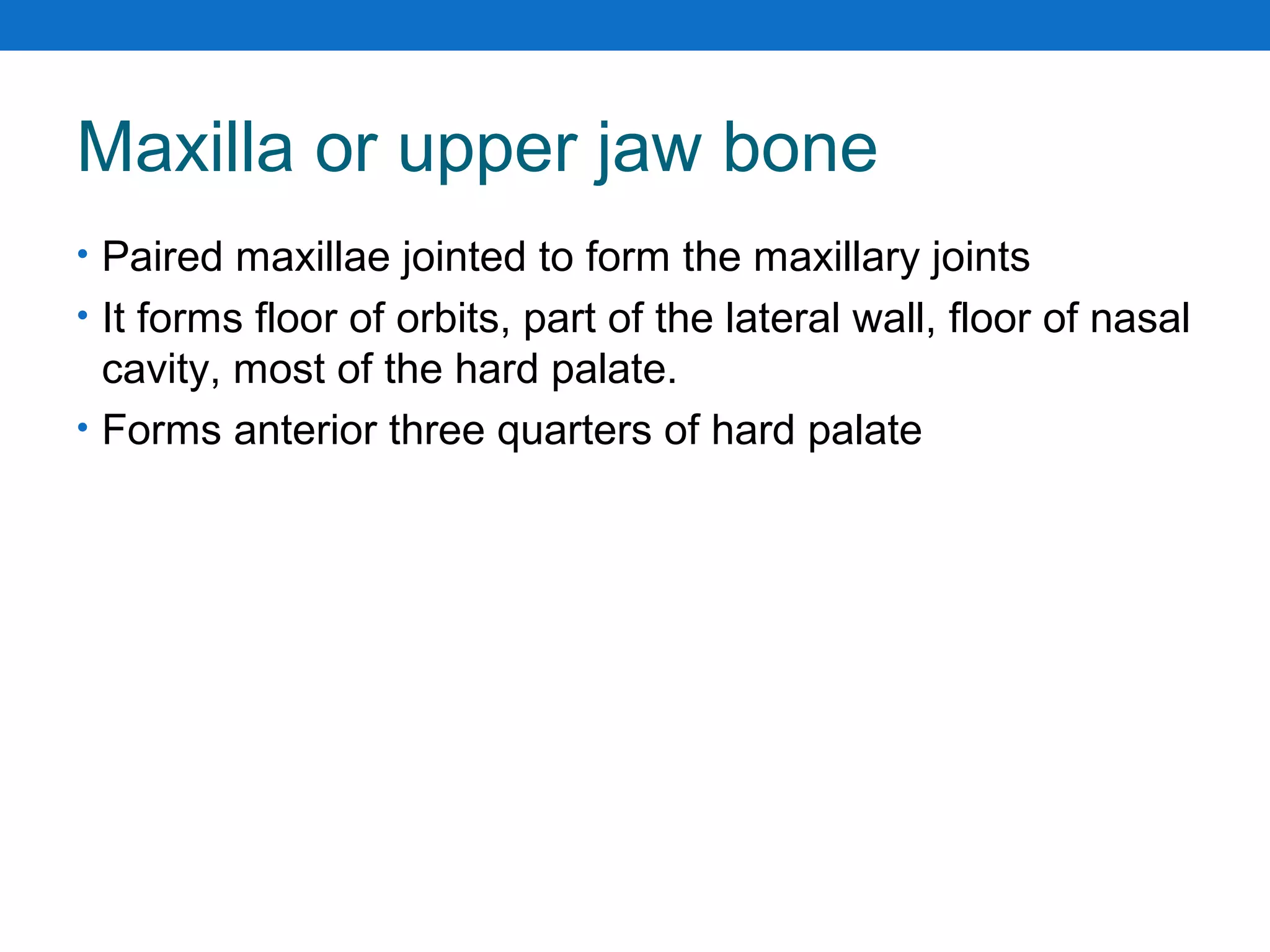 Maxilla or upper jaw bone
• Paired maxillae jointed to form the maxillary joints
• It forms floor of orbits, part of the lateral wall, floor of nasal
cavity, most of the hard palate.
• Forms anterior three quarters of hard palate
 
