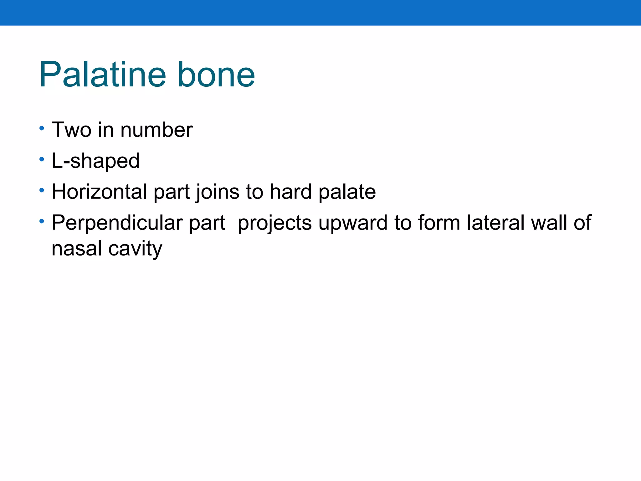 Palatine bone
• Two in number
• L-shaped
• Horizontal part joins to hard palate
• Perpendicular part projects upward to form lateral wall of
nasal cavity
 