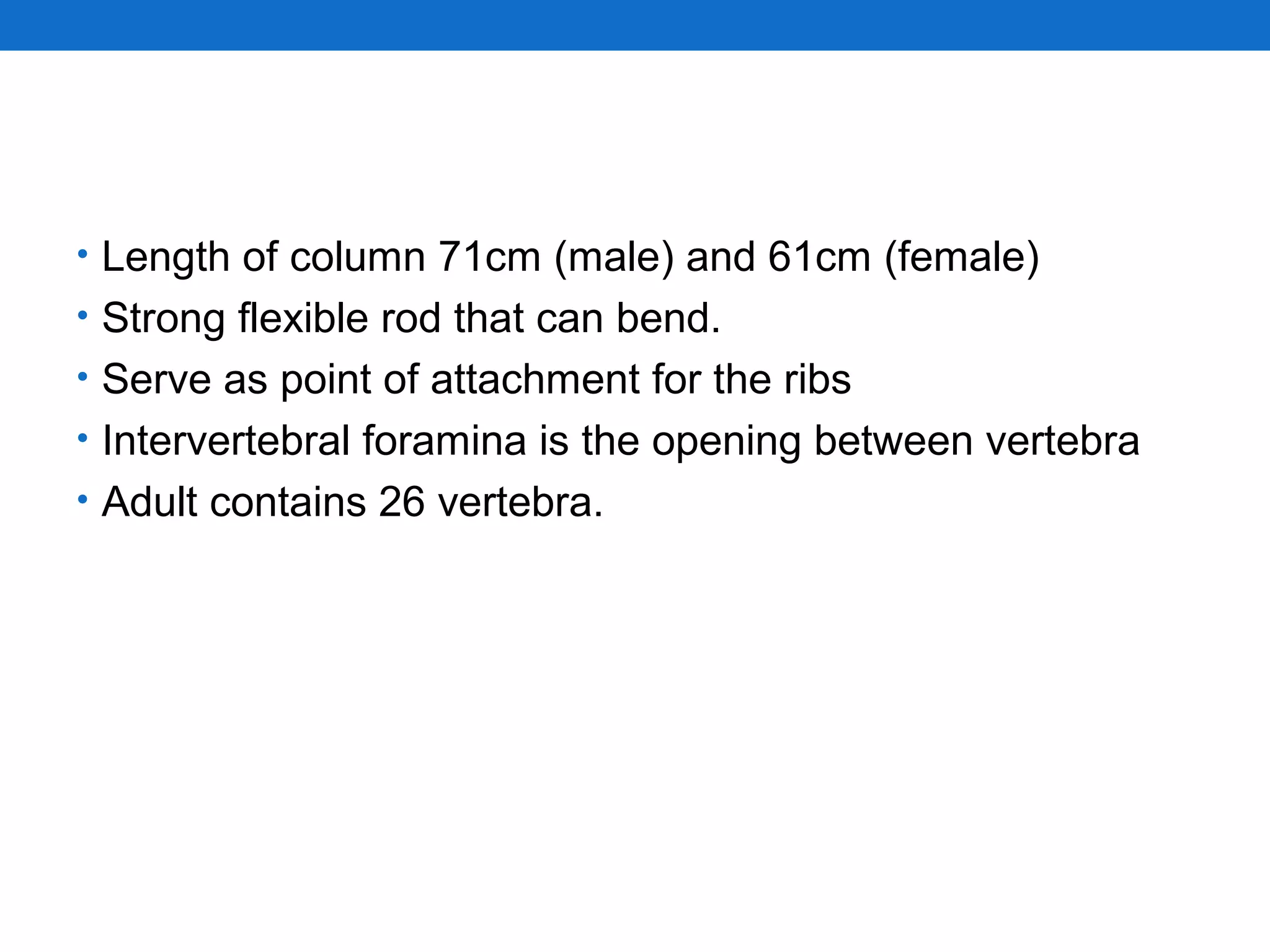 • Length of column 71cm (male) and 61cm (female)
• Strong flexible rod that can bend.
• Serve as point of attachment for the ribs
• Intervertebral foramina is the opening between vertebra
• Adult contains 26 vertebra.
 