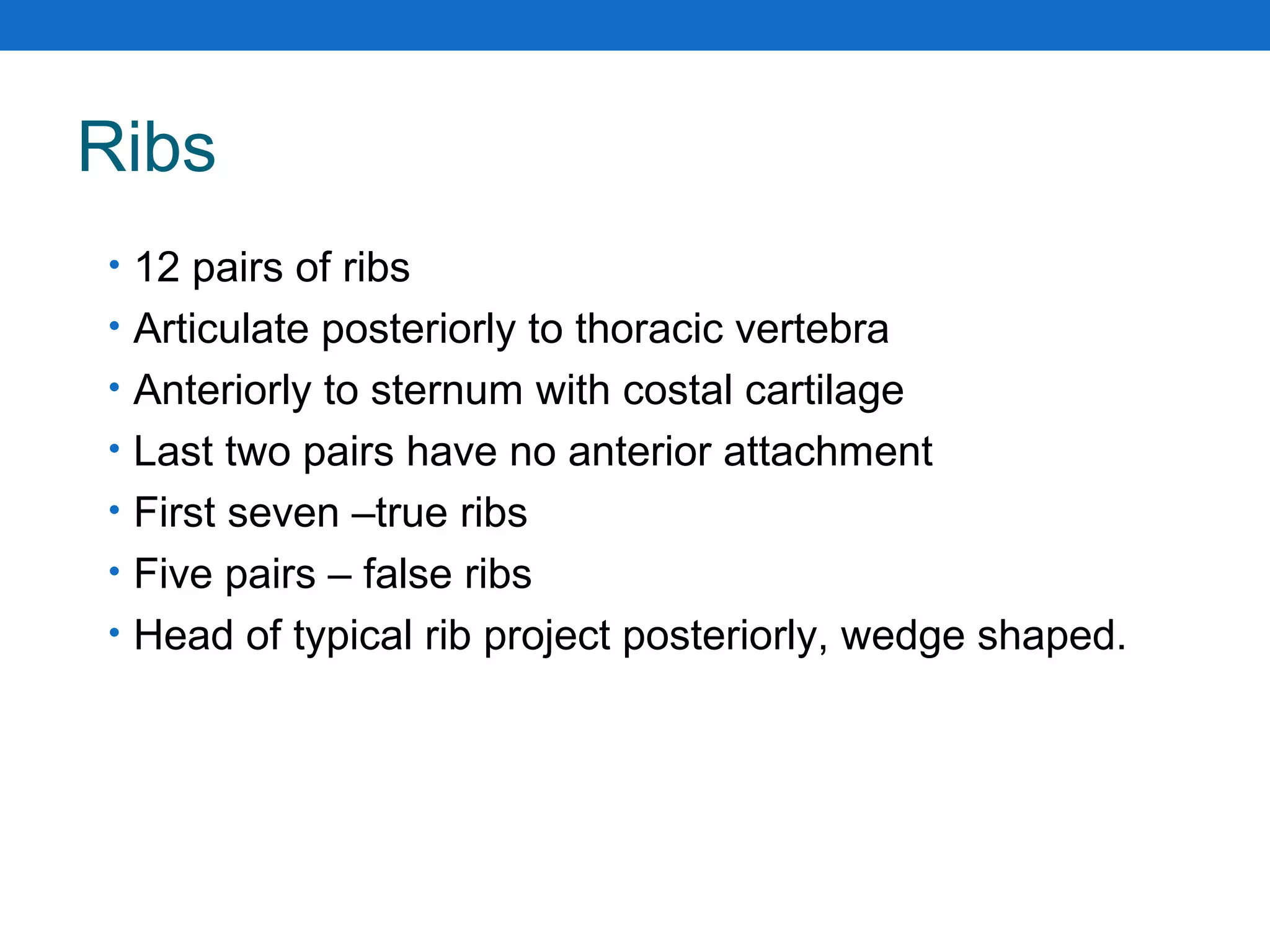 Ribs
• 12 pairs of ribs
• Articulate posteriorly to thoracic vertebra
• Anteriorly to sternum with costal cartilage
• Last two pairs have no anterior attachment
• First seven –true ribs
• Five pairs – false ribs
• Head of typical rib project posteriorly, wedge shaped.
 