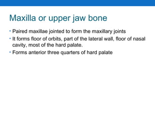 Skeletal system in a Brief | PPT