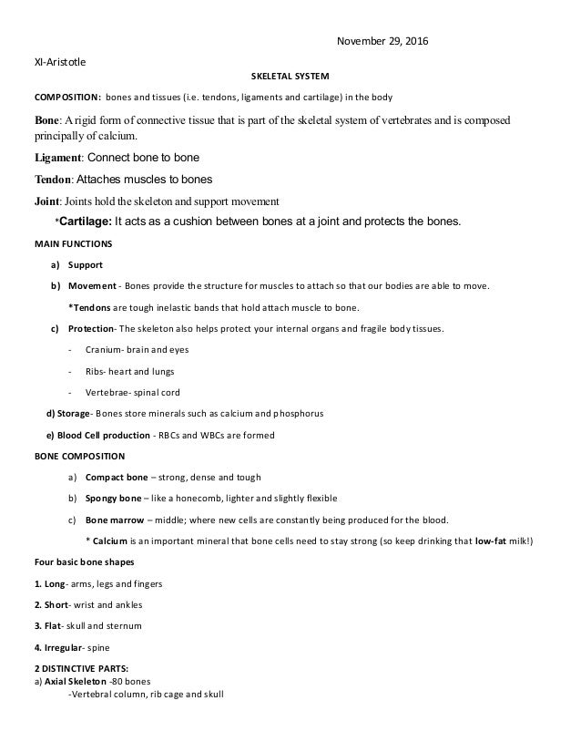 Outline Template for Essay - Word, PDF | 5+ Samples & Examples skeleton outline template essay