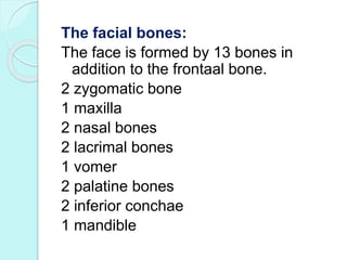 Nasal bone:
 These are the two small flat bones
that forms the greater part of the
lateral and the superior surfaces of t...