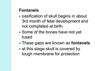 Skeletal system. anatomy and physiology of skeletal system. appendicular skeletal system. axial skeletal system. Slide 38