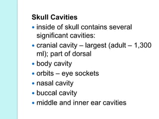 Functions of skull
 Protection of delicate structures
including the brain, eyes, and inner
ears
 Maintaining patency of ...