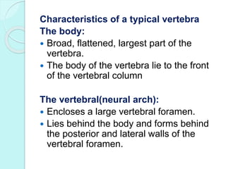 Thoracic (12):
 These are larger than the cervical
vertebra.
 The bodies and the transverse
processes have facets for
ar...