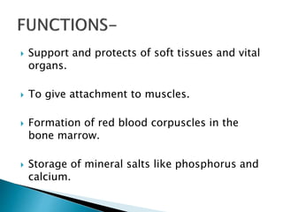  Support and protects of soft tissues and vital
organs.
 To give attachment to muscles.
 Formation of red blood corpuscles in the
bone marrow.
 Storage of mineral salts like phosphorus and
calcium.
 