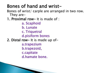 Bones of hand and wrist-
Bones of wrist/ carple are arranged in two row.
They are-
1. Proximal row- It is made of :
a. Scaphoid
b. Lunate
c. Triquetral
d.pisiform bones
2. Distal row- It is made up of-
a.trapezium
b.trapezoid,
c.capitate
d.hamate bone.
 