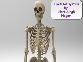 The Skeletal System
Skeletal system
By
Hari Singh
Nagar
Skeletal system
By
Hari Singh
Nagar
 
