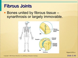 Skeletal system 2 | PPT