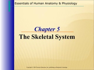 Essentials of Human Anatomy & Physiology

Chapter 5
The Skeletal System

Copyright © 2003 Pearson Education, Inc. publishing as Benjamin Cummings

 